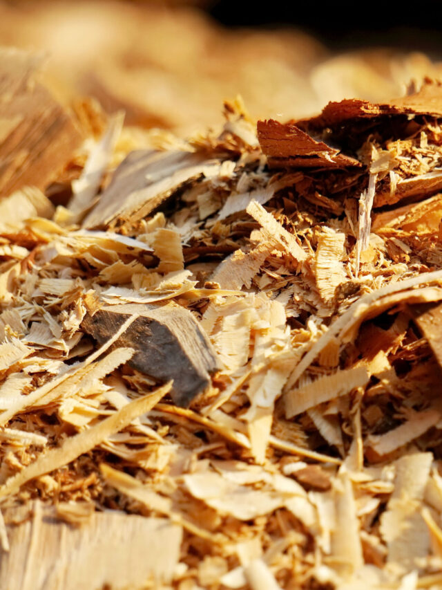 natural rubber vulcanization